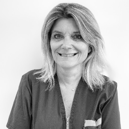 Sylvie ASV